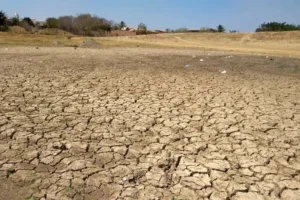 Aracatu, Ibiassucê e Malhada de Pedras têm situação de emergência reconhecida por seca