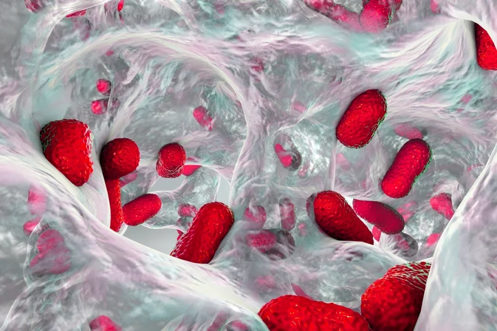 Pesquisa indica circulação de Acinetobacter baumannii entre pets e humanos