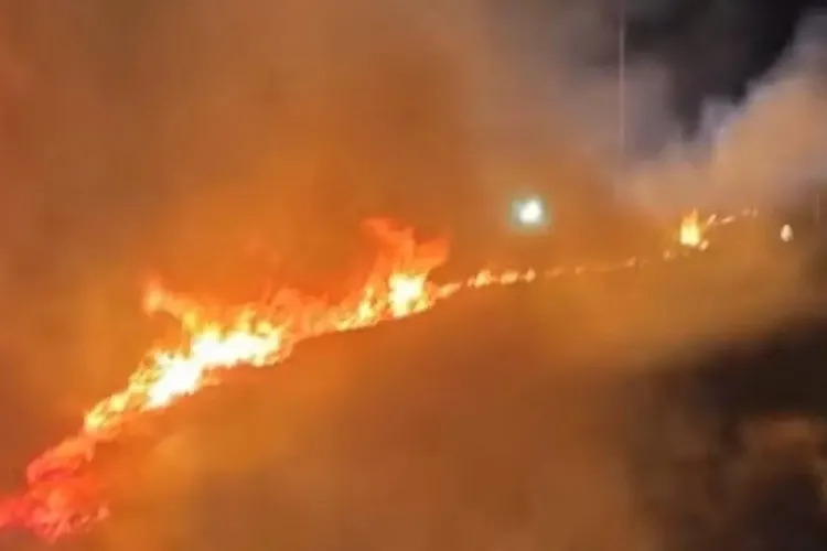 Foto: Reprodução/TV Sudoeste