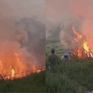 Chá revelação causa incêndio e destrói vegetação em rancho na Bahia