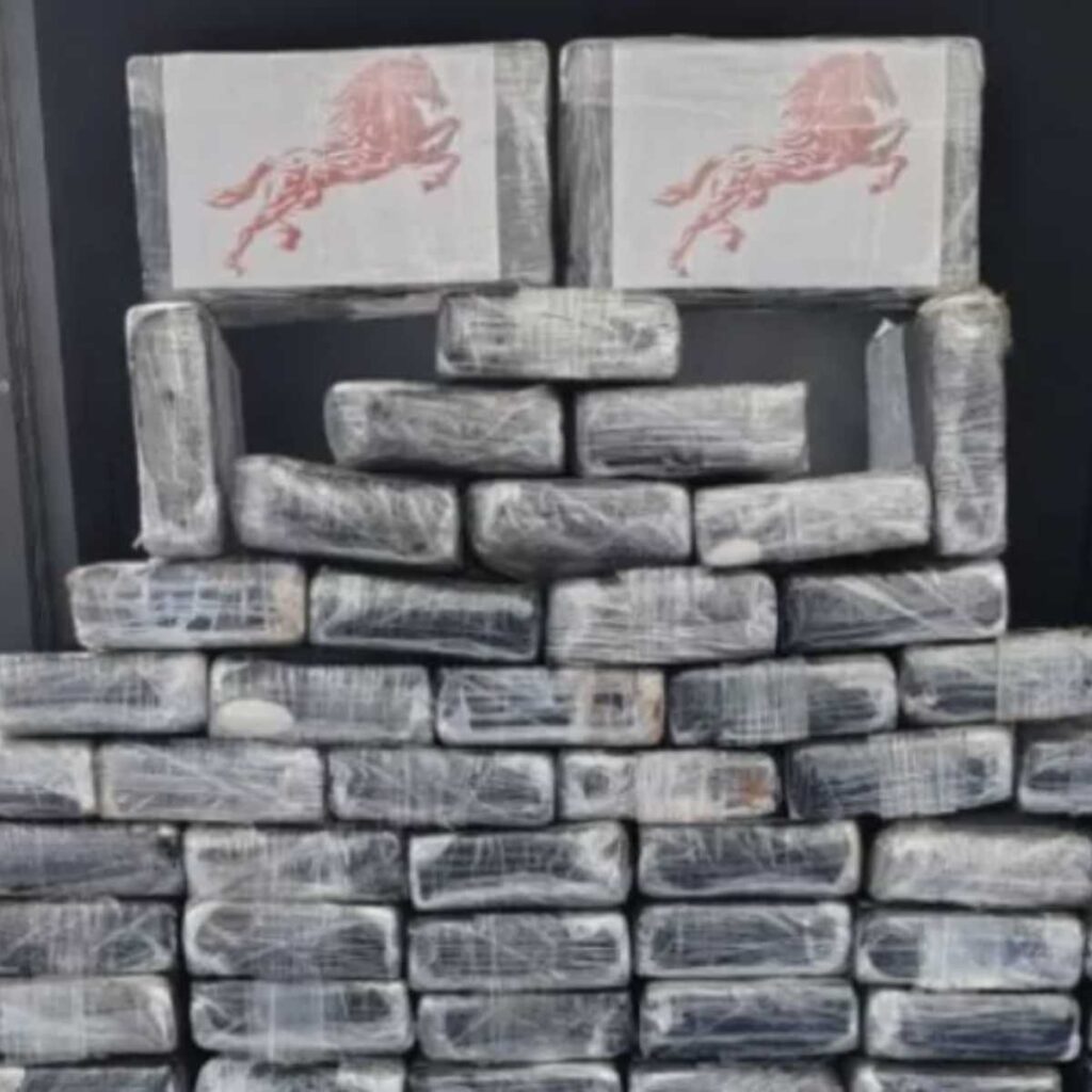 Avião com dois corpos e 78 tabletes de cocaína é encontrado na Reserva do Cabaçal (MT)