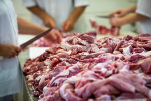 Produtores desaprovam protocolo do Mapa para bovinos criados sem antimicrobianos