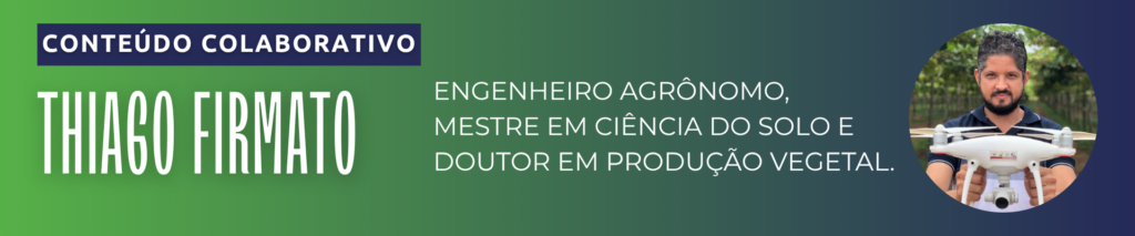 Brasil se destaca nas exportações de manga por janelas sazonais e qualidade