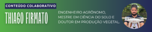 Brasil se destaca nas exportações de manga por janelas sazonais e qualidade