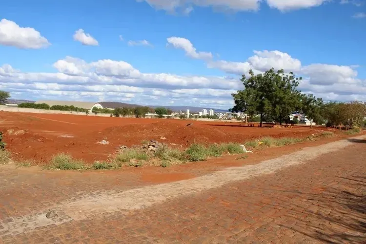 Foto: Lay Amorim/Achei Sudoeste