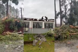 Dois tornados atingem o Paraná em menos de 24 horas com estragos em escolas e áreas rurais