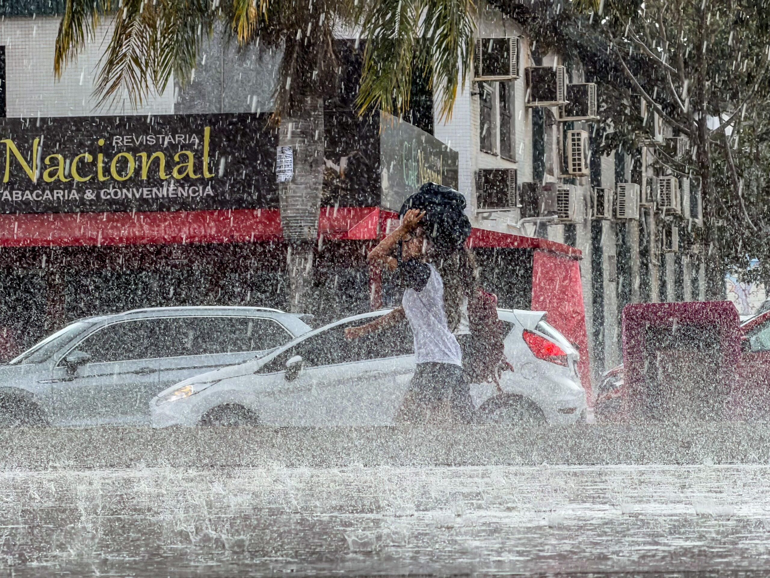 Fonte: Chuva de 100 mm ameaça 708 cidades de três estados nesta segunda (21); veja lista • Rafa Neddermeyer/Agência Brasil